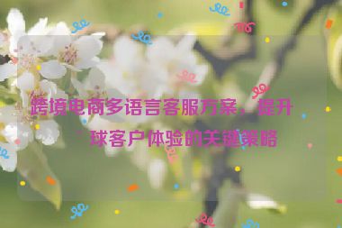 跨境電商多語(yǔ)言客服方案，提升全球客戶(hù)體驗(yàn)的關(guān)鍵策略