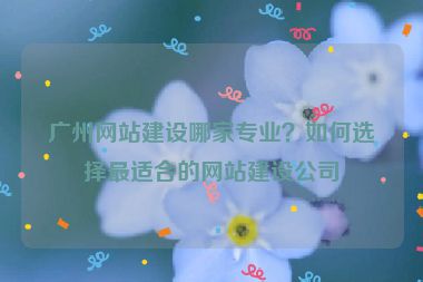 廣州網(wǎng)站建設哪家專業(yè)？如何選擇最適合的網(wǎng)站建設公司