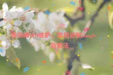 移動端SEO維護(hù)，如何適配Google最新算法