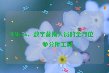 SEMrush，數(shù)字營銷人員的全方位競爭分析工具