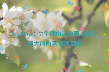 WordPress，57個(gè)理由讓你愛上這個(gè)強(qiáng)大的內(nèi)容管理系統(tǒng)