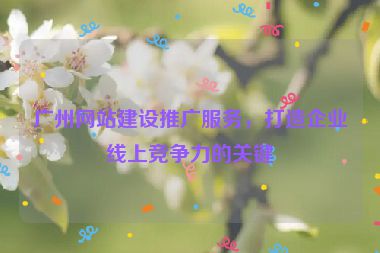 廣州網(wǎng)站建設(shè)推廣服務(wù)，打造企業(yè)線上競爭力的關(guān)鍵