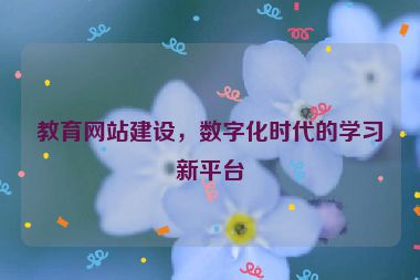 教育網(wǎng)站建設(shè)，數(shù)字化時代的學(xué)習(xí)新平臺