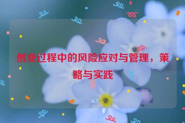 創(chuàng)業(yè)過程中的風(fēng)險應(yīng)對與管理，策略與實踐