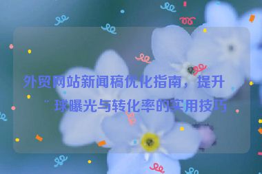 外貿(mào)網(wǎng)站新聞稿優(yōu)化指南，提升全球曝光與轉(zhuǎn)化率的實(shí)用技巧