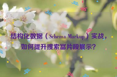 結(jié)構(gòu)化數(shù)據(jù)（Schema Markup）實(shí)戰(zhàn)，如何提升搜索富片段展示？