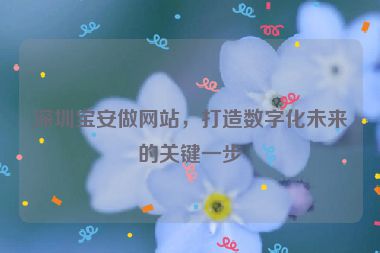 深圳寶安做網(wǎng)站，打造數(shù)字化未來的關(guān)鍵一步