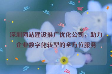 深圳網(wǎng)站建設(shè)推廣優(yōu)化公司，助力企業(yè)數(shù)字化轉(zhuǎn)型的全方位服務(wù)