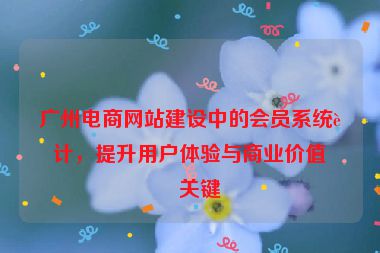廣州電商網(wǎng)站建設(shè)中的會員系統(tǒng)設(shè)計，提升用戶體驗與商業(yè)價值的關(guān)鍵