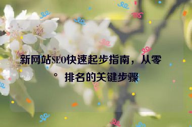新網(wǎng)站SEO快速起步指南，從零到排名的關(guān)鍵步驟