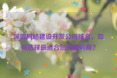 深圳網站建設開發(fā)公司排名，如何選擇最適合您的服務商？