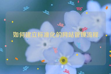 如何建立標(biāo)準(zhǔn)化的網(wǎng)站管理流程