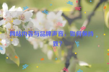 網(wǎng)站內容與品牌聲音，如何保持一致？