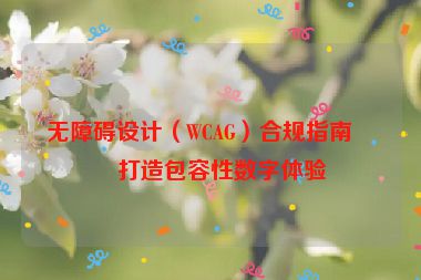 無(wú)障礙設(shè)計(jì)（WCAG）合規(guī)指南，打造包容性數(shù)字體驗(yàn)