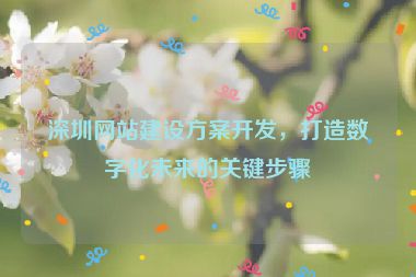 深圳網(wǎng)站建設(shè)方案開發(fā)，打造數(shù)字化未來的關(guān)鍵步驟