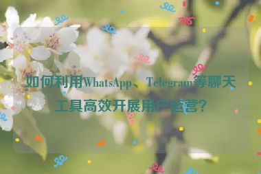 如何利用WhatsApp、Telegram等聊天工具高效開展用戶運營？