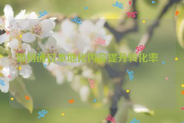 如何通過(guò)本地化內(nèi)容提升轉(zhuǎn)化率？