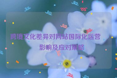 跨境文化差異對(duì)網(wǎng)站國(guó)際化運(yùn)營(yíng)的影響及應(yīng)對(duì)策略