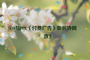 SEO與PPC（付費(fèi)廣告）如何協(xié)同增效？