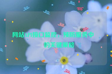 網(wǎng)站API接口監(jiān)控，預(yù)防服務(wù)中斷的關(guān)鍵策略