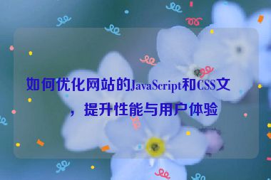 如何優(yōu)化網(wǎng)站的JavaScript和CSS文件，提升性能與用戶體驗