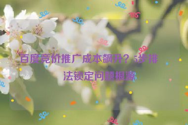 百度競(jìng)價(jià)推廣成本飆升？5步排查法鎖定問題根源