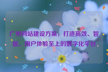 廣州網(wǎng)站建設方案，打造高效、智能、用戶體驗至上的數(shù)字化平臺