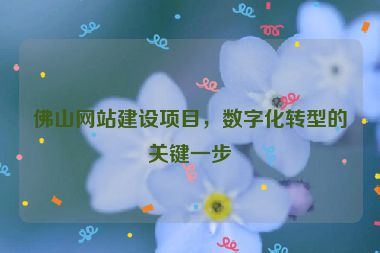 佛山網(wǎng)站建設(shè)項目，數(shù)字化轉(zhuǎn)型的關(guān)鍵一步