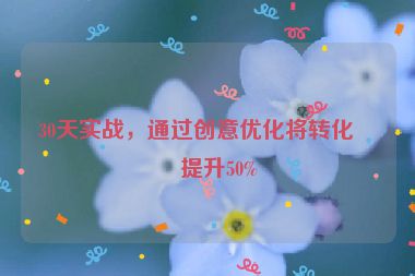 30天實(shí)戰(zhàn)，通過(guò)創(chuàng)意優(yōu)化將轉(zhuǎn)化率提升50%