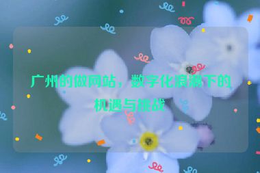 廣州的做網(wǎng)站，數(shù)字化浪潮下的機(jī)遇與挑戰(zhàn)