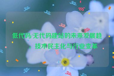 低代碼/無(wú)代碼建站的未來(lái)發(fā)展趨勢(shì)，技術(shù)民主化與行業(yè)變革