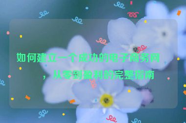 如何建立一個成功的電子商務網(wǎng)站，從零到盈利的完整指南