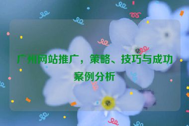 廣州網(wǎng)站推廣，策略、技巧與成功案例分析
