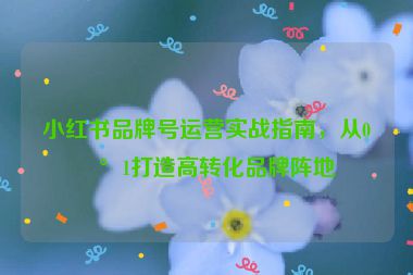 小紅書(shū)品牌號(hào)運(yùn)營(yíng)實(shí)戰(zhàn)指南，從0到1打造高轉(zhuǎn)化品牌陣地