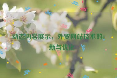 動(dòng)態(tài)內(nèi)容展示，外貿(mào)網(wǎng)站技術(shù)的革新與優(yōu)化