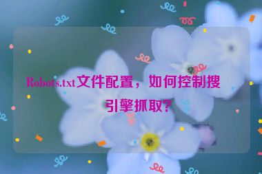 Robots.txt文件配置，如何控制搜索引擎抓取？