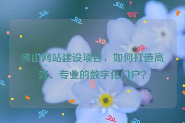 佛山網站建設項目，如何打造高效、專業(yè)的數(shù)字化門戶？